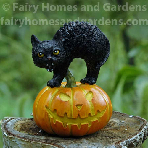 Miniature Scary Black Cat on Jack o' Lantern