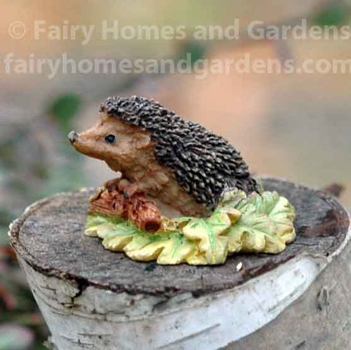 Miniature Hedgehog on Leaves
