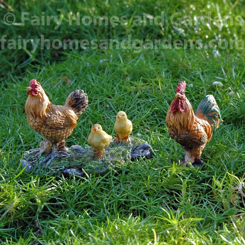 Woodland Knoll Rooster, Hen, and Chicks