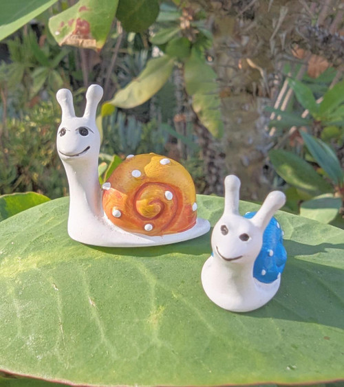Snail Family