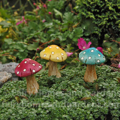 Miniature Polka Dot Mushrooms
