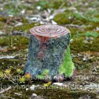 Decorative Mossy Tree Stump