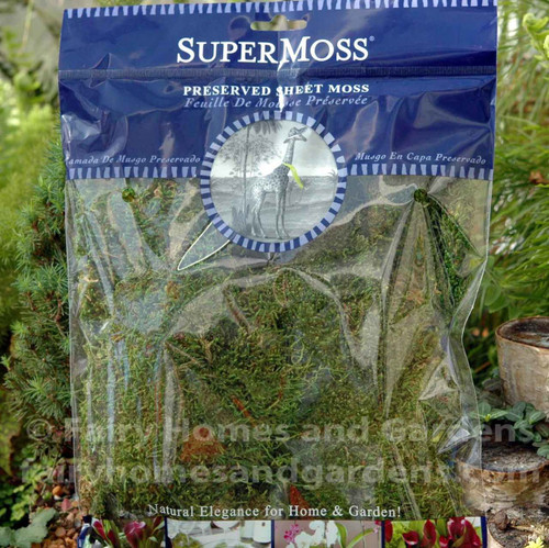 Sheet Moss Preserved - SuperMoss