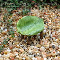 Miniature Leaf Fairy Bench