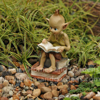 Pixie Reading a Book