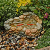 Miniature Rock Pond with Two Bright Orange Koi Fish