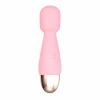 Dear We Love Heart Vibrator No.1