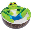 FUJIMA ASHTRAY-CHILLING GREEN FROG LT245