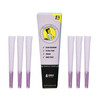 Blazy Susan Purple Cones 1PK 1-14