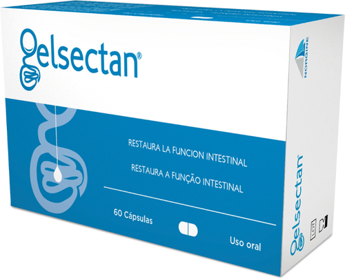 GELSECTAN 60 CAPSULAS