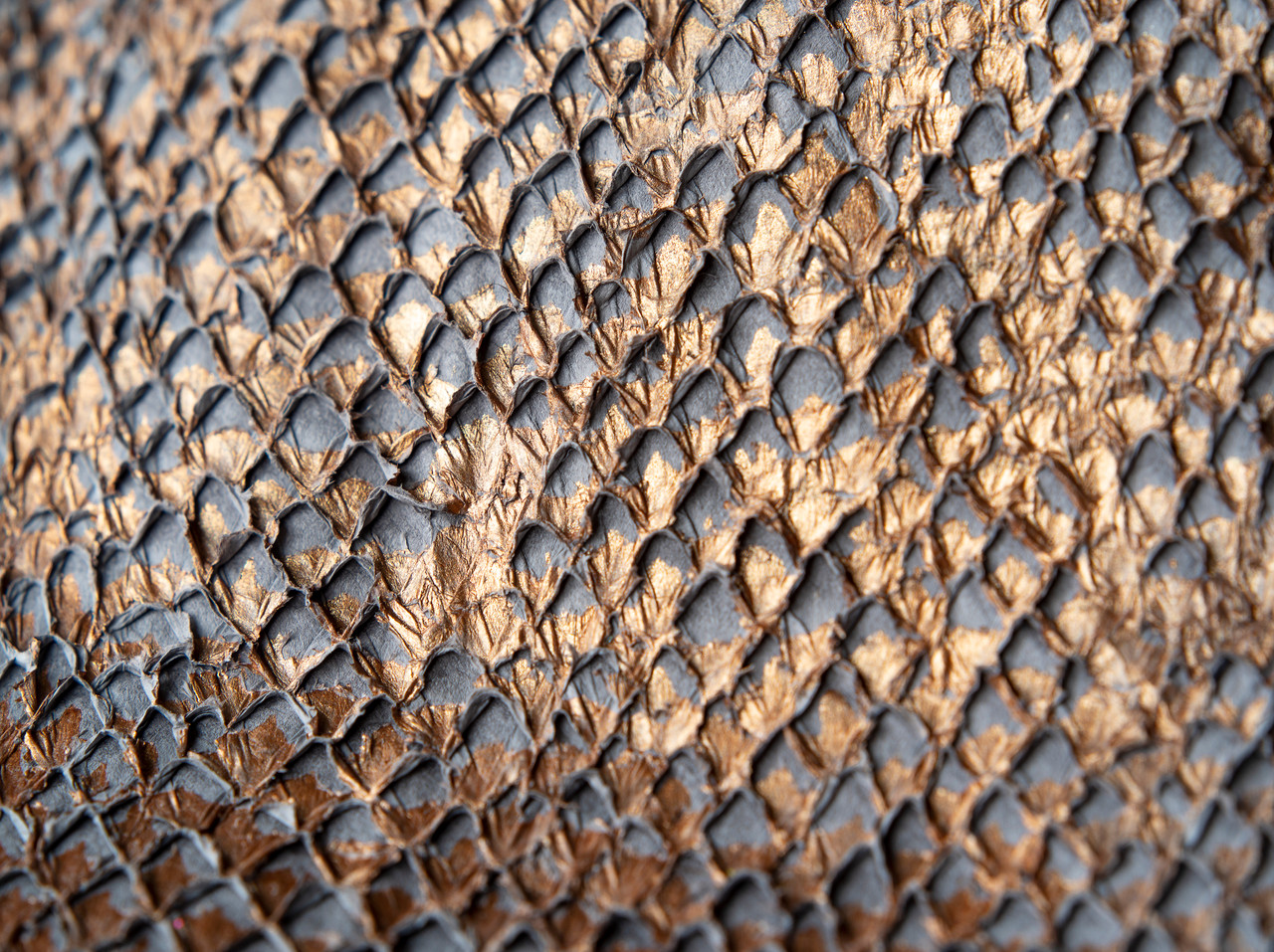 Copper Fish Leather
