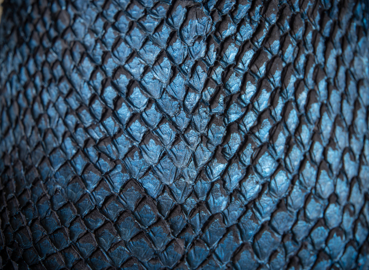 Blue Fish Leather