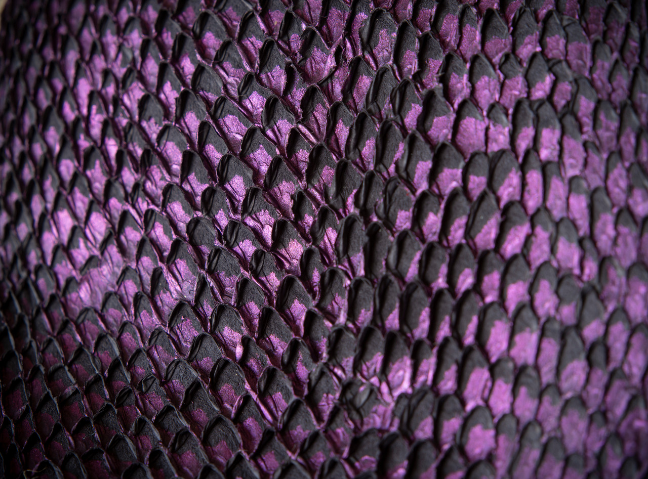 Violet Fish Leather