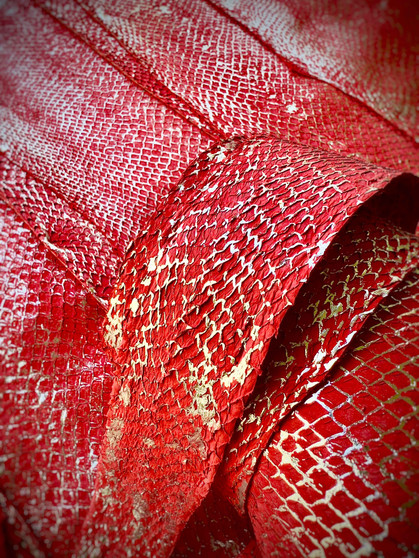 Red/Silver