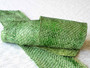 Salmon fish leather - Lime & Green