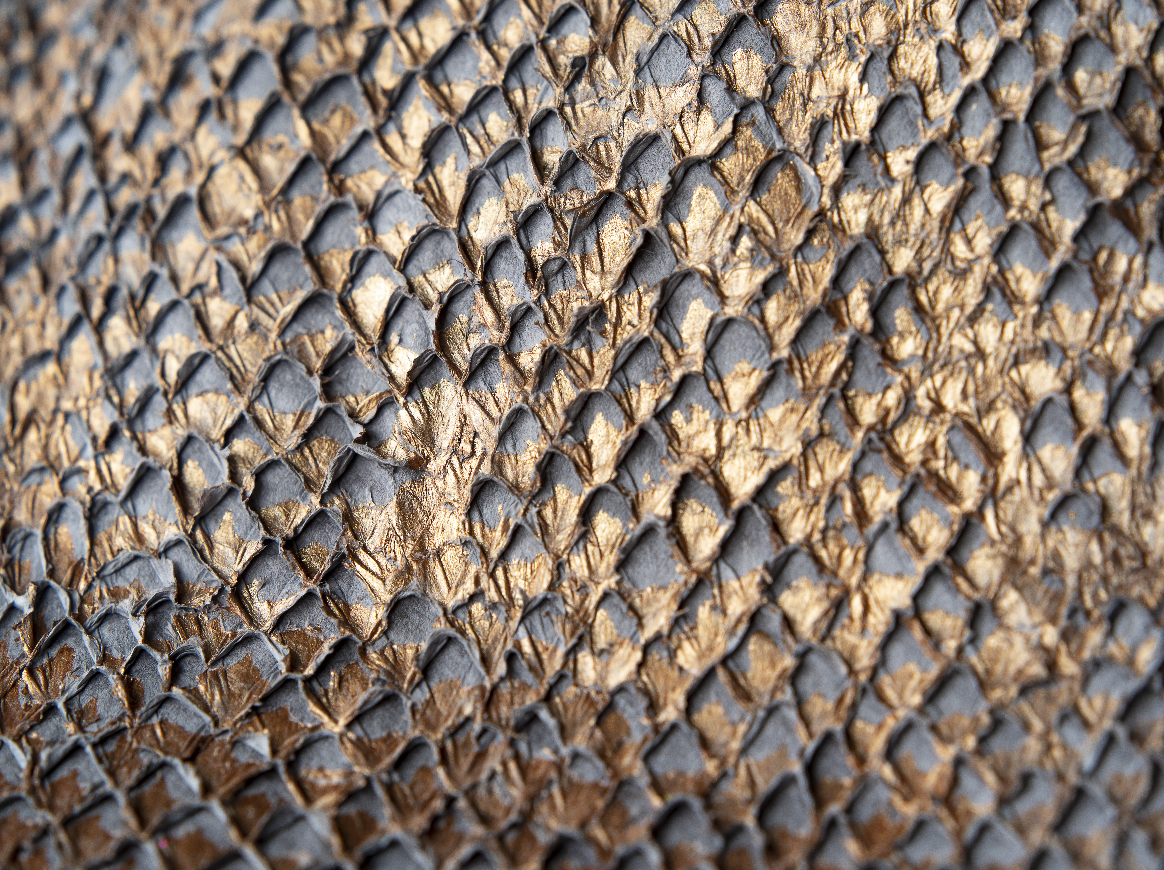 Copper Fish Leather