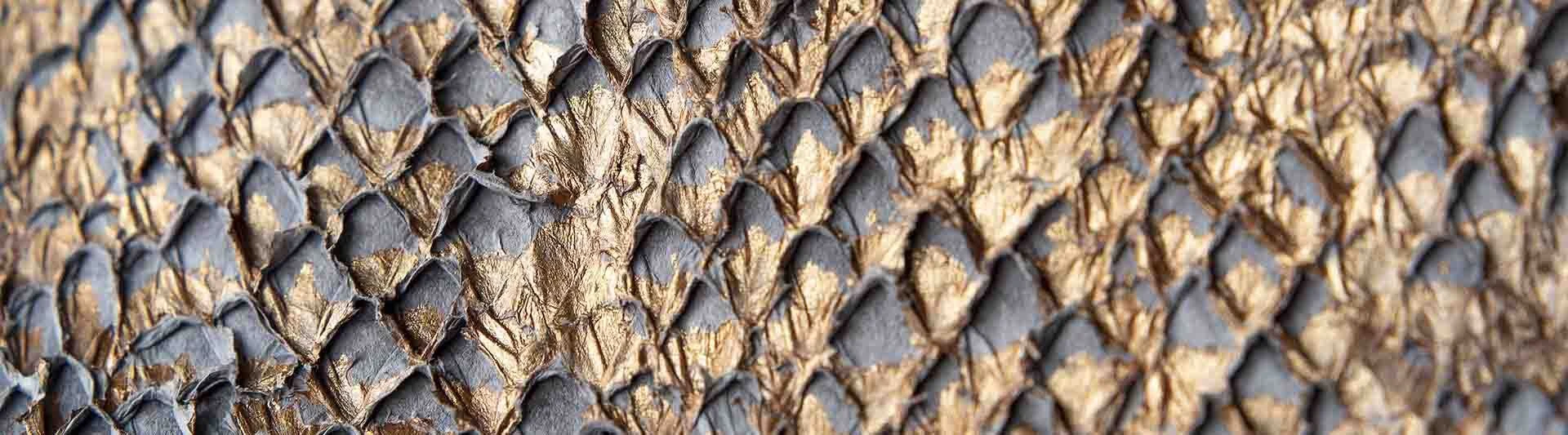Close-up of salmon fish leather scales