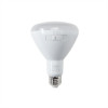 BR LED Bulbs