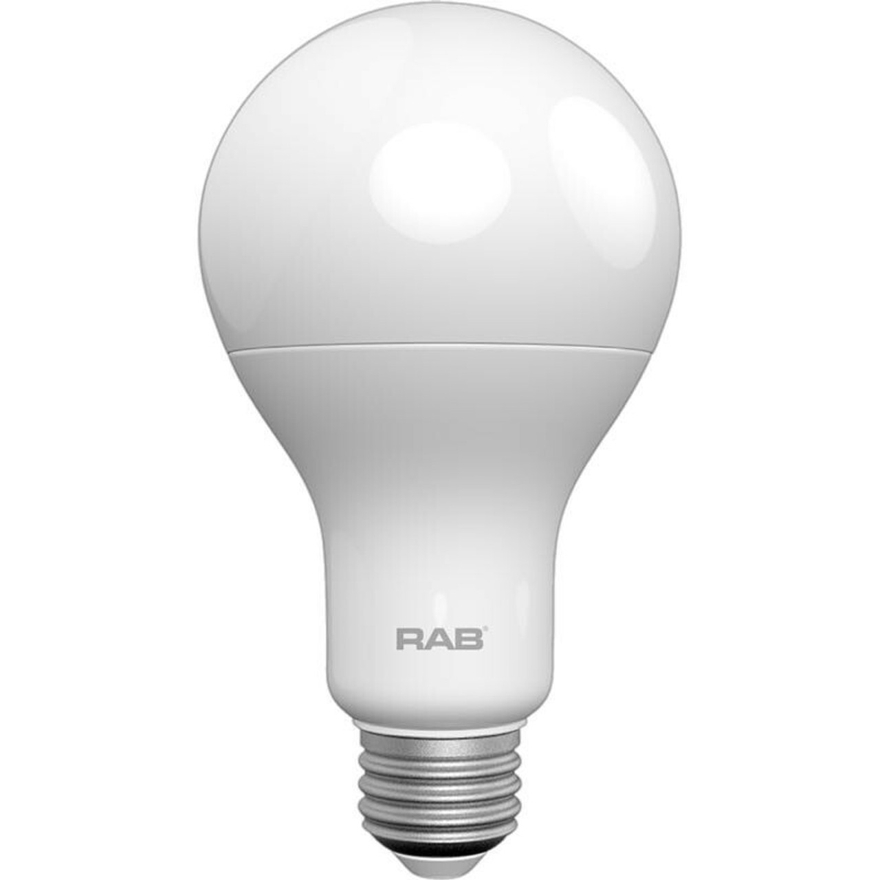 A21 Light Bulbs