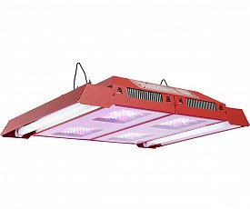 Shop California Lightworks CLW0400 Light Bulbs & Fixtures