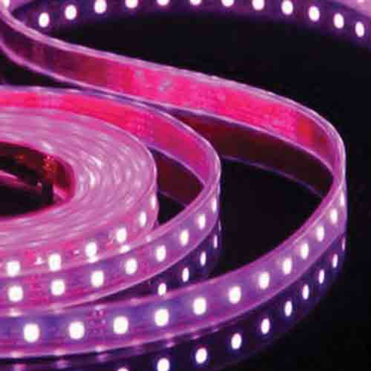 Heise LED Lighting H-PK550 5050 Pink Light Strip Meter, 60 LED, Retail