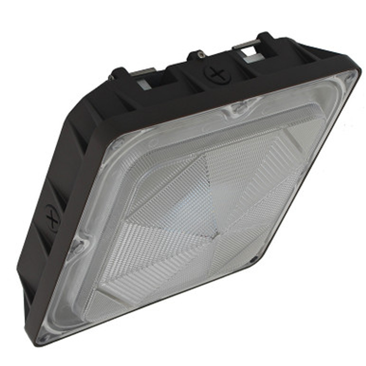 Canopy Lights