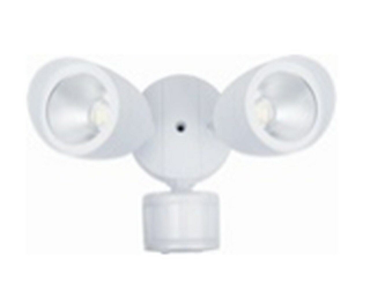 Security Lights