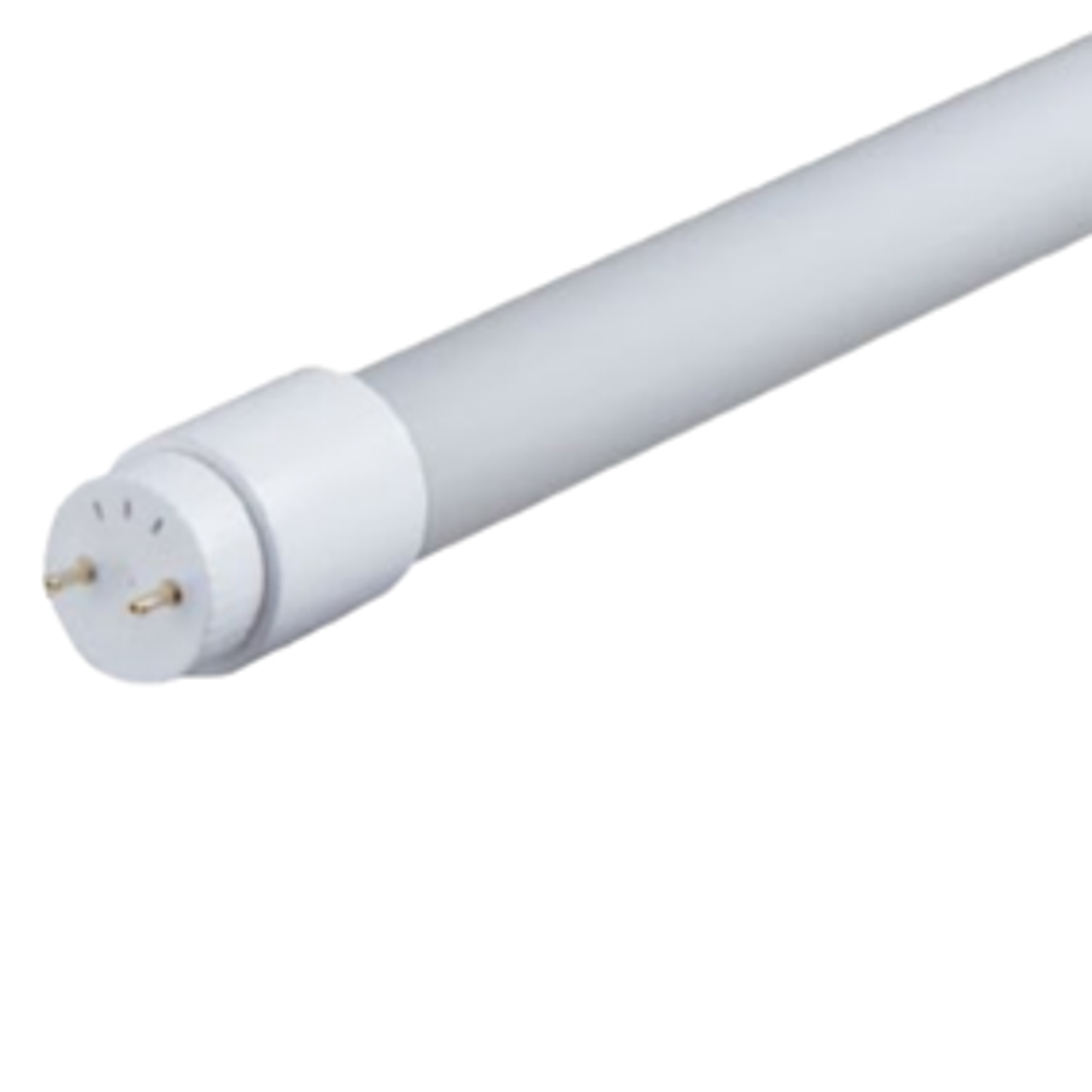 4 ft LED T8 Bulbs 4 ft LED T8 Bulbs