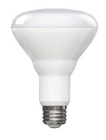 R30 Bulb