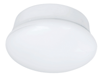 Flush Mount Lighting