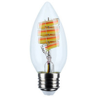 Edison Bulb