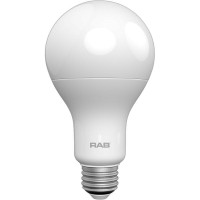 A21 Light Bulbs