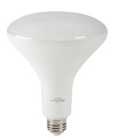 BR40 LED Bulbs