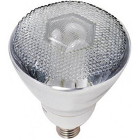 PAR38 Bulb