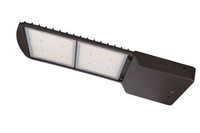 Street and Roadway Lighting