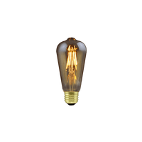 Decorative LED Bulbs