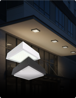 Canopy Lights