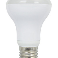 B40 LED Bulb