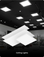 Ceiling Lights