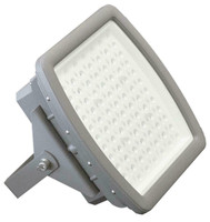 LED Explosion-Proof Flood Light