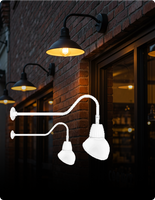 Gooseneck Lights
