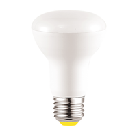 BR20 LED Bulbs