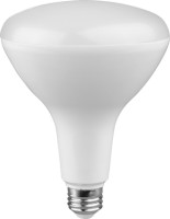 BR40 Bulb