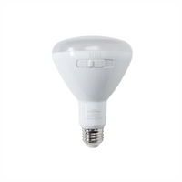 BR30 LED Bulbs