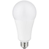 A23 Light Bulbs