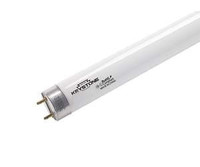 Incandescent & Halogen