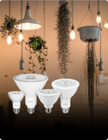 Light Bulbs