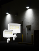 Security Lights