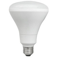 LED B30 Light Bulbs