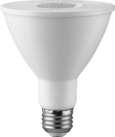 PAR30 Bulb